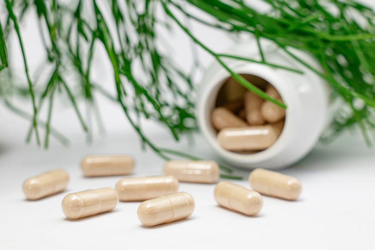 Macronutrients article